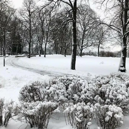Family Or Group In Center Riga