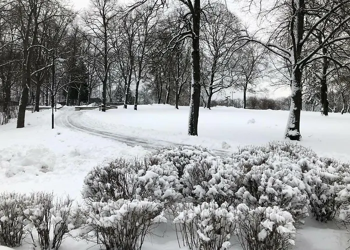 Family Or Group In Center ريغا